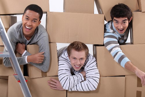 Support page for accessibility requests on a local moving service site