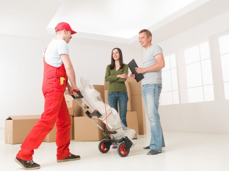 Investigation of a moving service issue with documents
